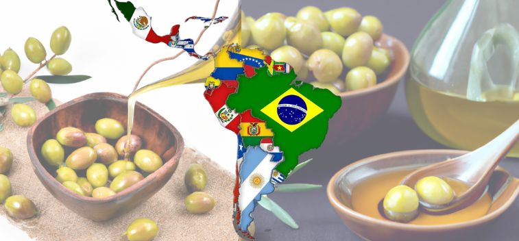 Tendencias y novedades en el mercado del aceite de oliva en Latinoamérica